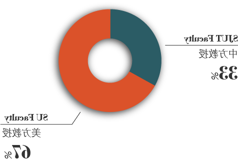 Chart-GlobalFacultyProfile 2